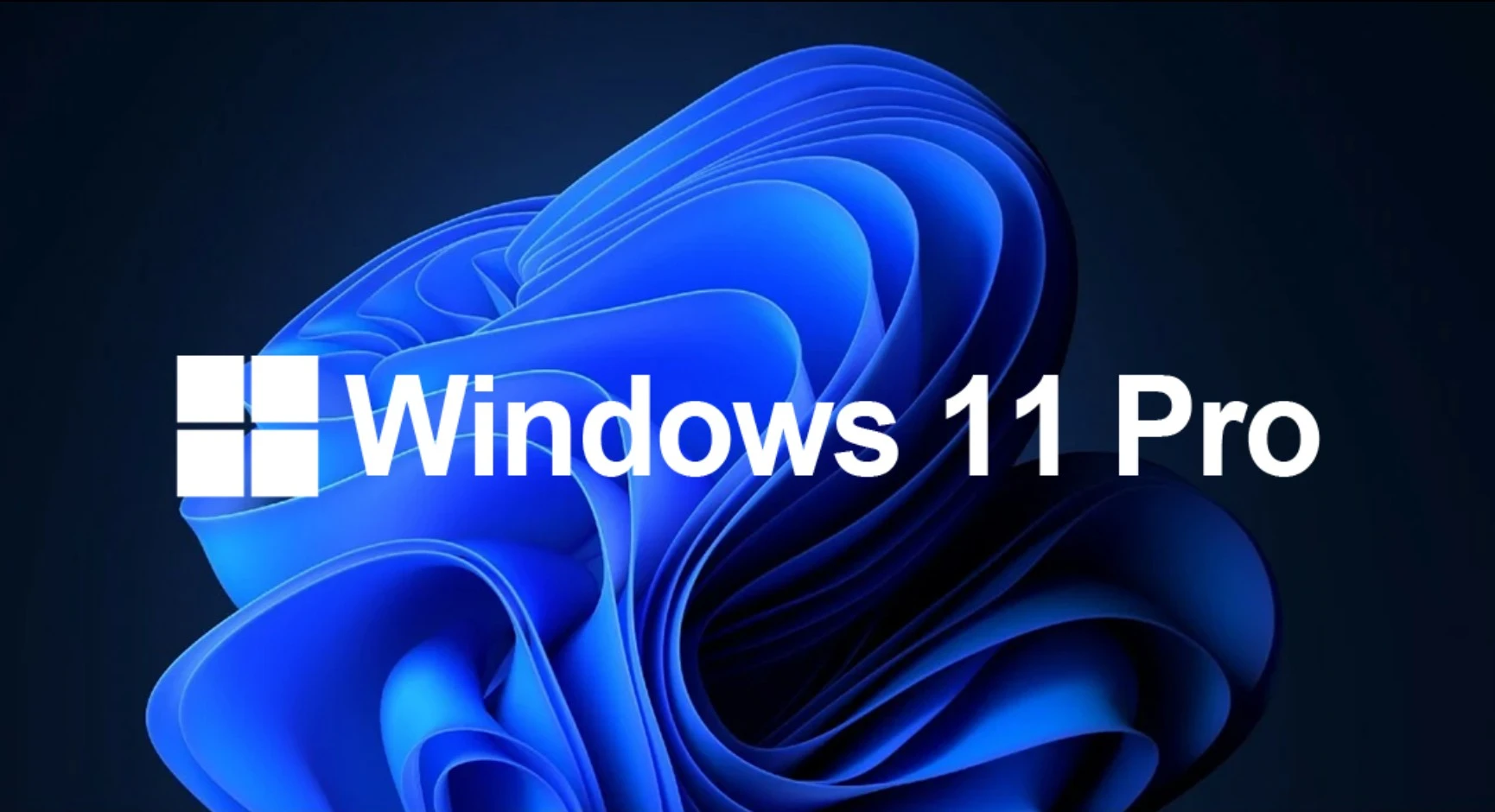 Windows 11 Pro OS