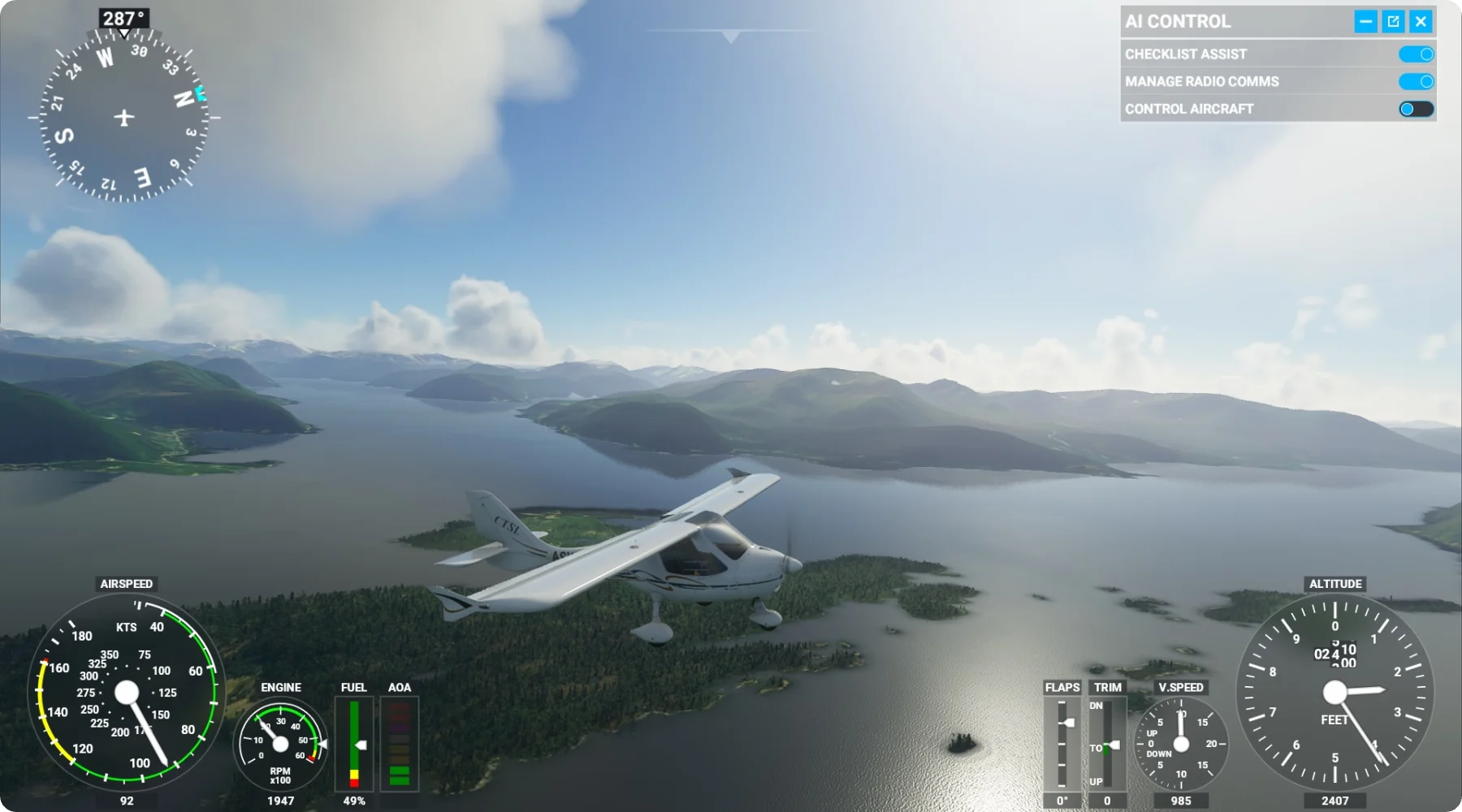 Microsoft Flight Simulator