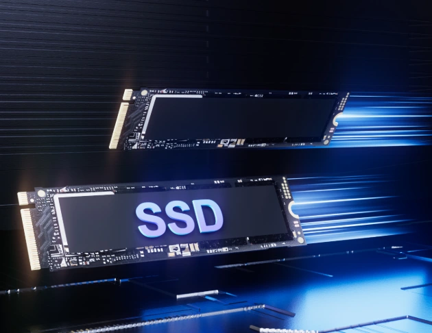 M.2 2280 NVMe PCIe Gen 4*4 SATAII SSD